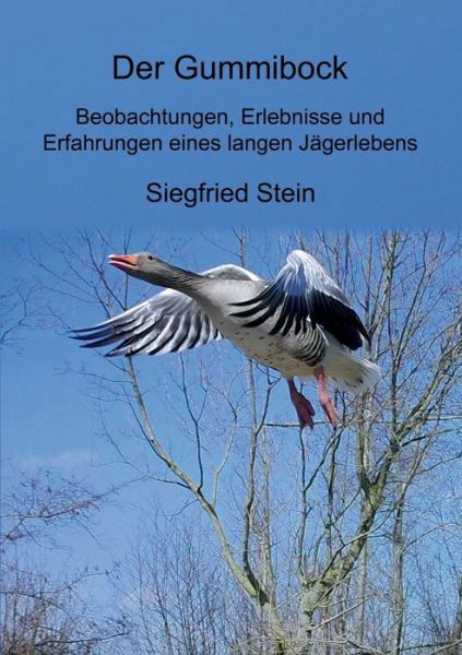 Cover for Stein · Der Gummibock (Buch) (2019)