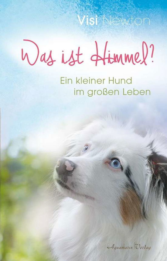 Cover for Newton · Newton:was Ist Himmel? (Book)