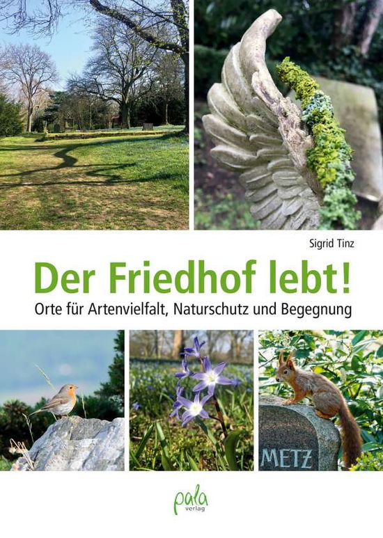 Cover for Tinz · Der Friedhof lebt! (Book)