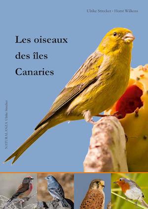 Les oiseaux des îles Canaries - Ulrike Strecker - Böcker - NATURALANZA - 9783942999137 - 2024