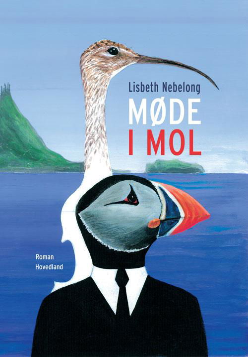 Cover for Lisbeth Nebelong · Møde i mol (Sewn Spine Book) [1er édition] (2014)
