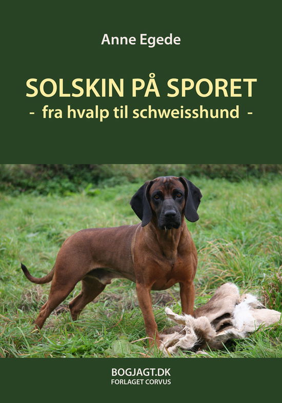 Cover for Anne Egede · Solskin på sporet (Bound Book) [1. Painos] [Indbundet] (2013)