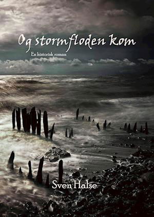 Cover for Sven Halse · Og stormfloden kom (Paperback Bog) [1. udgave] (2022)