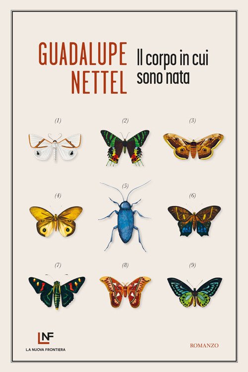 Cover for Guadalupe Nettel · Il Corpo In Cui Sono Nata (Buch)