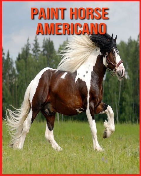 Cover for Annie Nichols · Paint Horse Americano: Fatti divertenti e foto incredibili degli animali nella natura (Paperback Book) (2021)