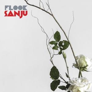 Cover for Flook · Sanju (CD) (2025)