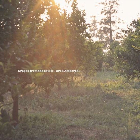 Cover for Oren Ambarchi · Grapes from the Estate (LP) (2018)