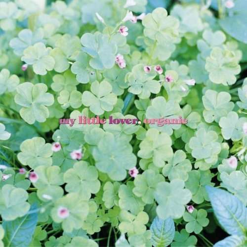 Cover for My Little Lover · Organic (CD) [Japan Import edition] (2008)