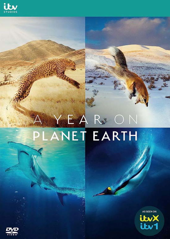 A Year On Planet Earth - A Year on Planet Earth DVD - Elokuva - ITV - 5037115392138 - maanantai 3. heinäkuuta 2023