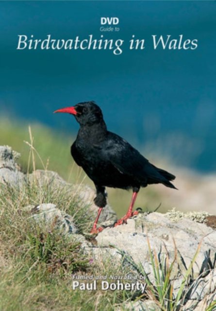 Cover for Birdwatching in Wales · Birdwatching In Wales (DVD) (2012)