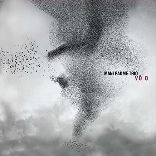 Cover for Mani Padme · Voo (CD) (2017)