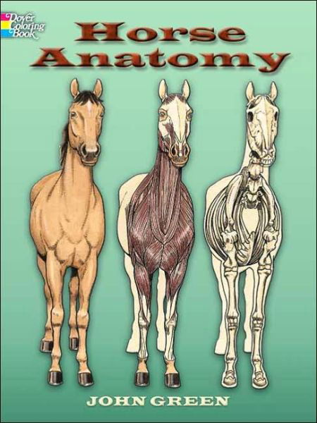 Horse Anatomy Coloring Book - Dover Nature Coloring Book - John Green - Koopwaar - Dover Publications Inc. - 9780486448138 - 27 oktober 2006