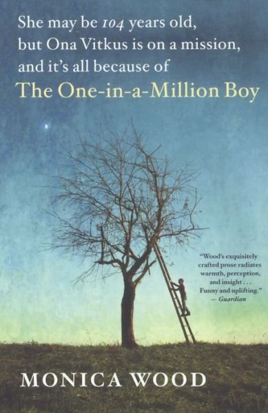 Cover for Monica Wood · The One-In-A-Million Boy (Hardcover Book) (2017)
