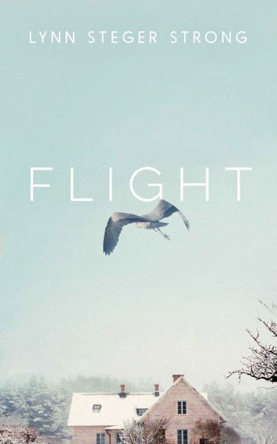 Cover for Lynn Steger Strong · Flight: 'Emotionally transcendent' – Boston Globe (Hardcover Book) (2022)