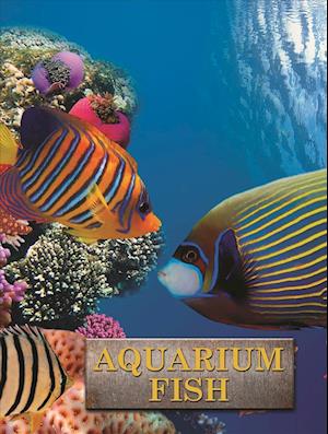 Cover for Andrew Cleave · Aquarium Fish - Pet Library (Hardcover Book) (2019)