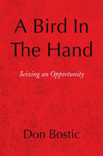 A Bird in the Hand: Seizing an Opportunity - Don Bostic - Books - Xlibris, Corp. - 9781436327138 - December 10, 2008