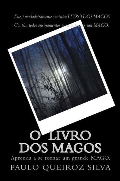 Cover for P Paulo Queiroz Silva S · O Verdadeiro Livro Dos Magos: Aprenda a Ser Um Mago (Paperback Book) (2014)