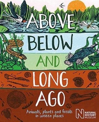 Above, Below and Long Ago: Animals, plants and fossils in unseen places - Michael Bright - Boeken - Hachette Children's Group - 9781526318138 - 14 maart 2024