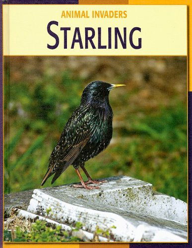 Starling (Animal Invaders) - Susan Heinrichs Gray - Books - Cherry Lake Publishing - 9781602791138 - 2008