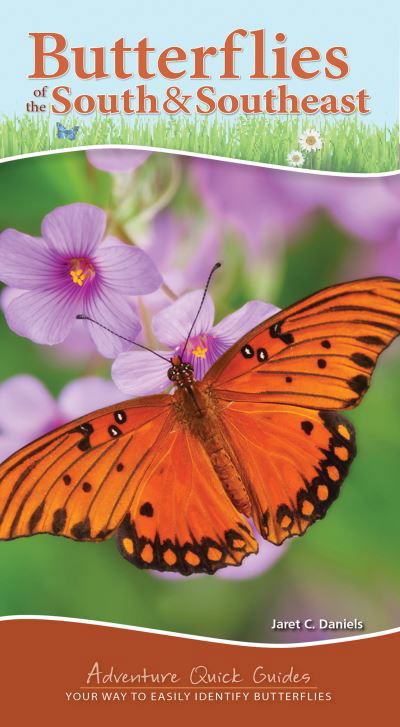 Cover for Jaret C. Daniels · Butterflies of the South &amp; Southeast: Your Way to Easily Identify Butterflies - Adventure Quick Guides (Spiralbok) (2021)