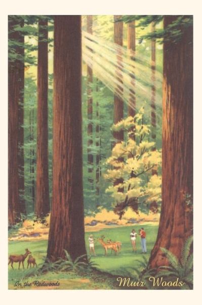 Cover for Found Image Press · The Vintage Journal Bucolic Scene, Muir Woods, California (Paperback Book) (2022)