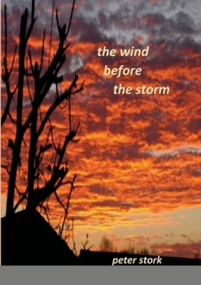 Cover for Peter Stork · The Wind Before the Storm (Paperback Book) (2020)