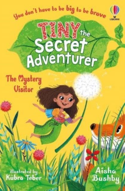 Cover for Aisha Bushby · Tiny the Secret Adventurer: The Mystery Visitor - Tiny, the Secret Adventurer (Paperback Book) (2024)