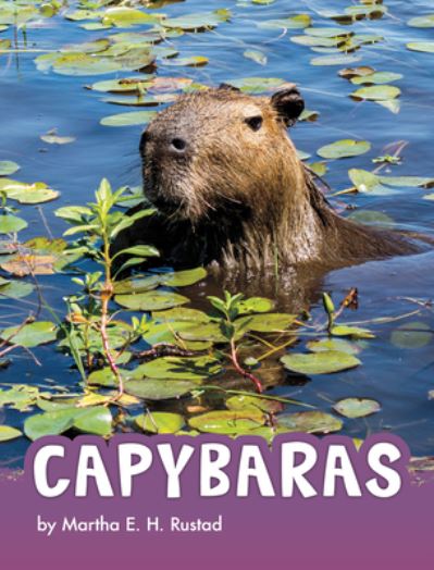 Cover for Martha E H Rustad · Capybaras (Hardcover Book) (2020)