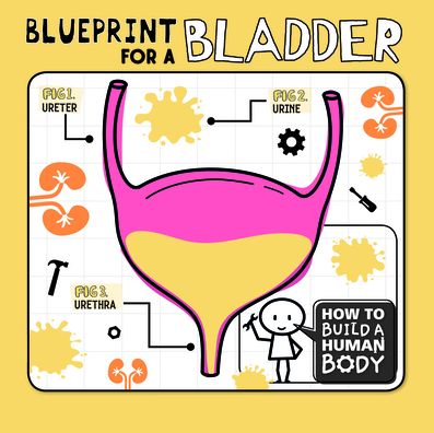 Cover for Kirsty Holmes · Blueprint for a Bladder (Hardcover Book) (2020)