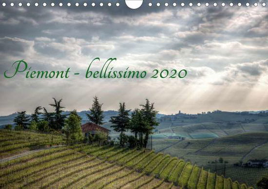 Cover for Haas · Piemont - bellissimo 2020 (Wandkal (Book)