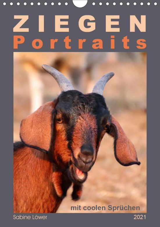 Ziegenportraits (Wandkalender 202 - Löwer - Bøger -  - 9783672268138 - 