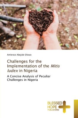 Cover for Olowo · Challenges for the Implementation (Book) (2020)