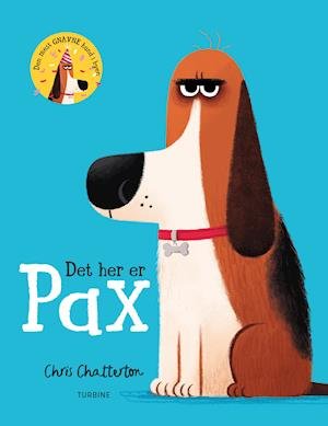 Cover for Chris Chatterton · Det her er Pax (Innbunden bok) [1. utgave] (2021)