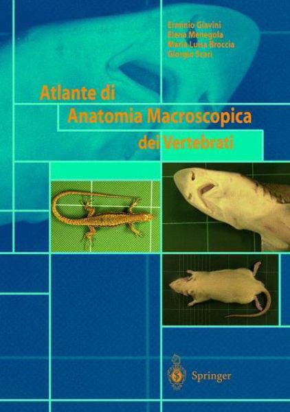 Atlante Di Anatomia Macroscopica Dei Vertebrati - E Giavini - Books - Springer Verlag - 9788847001138 - August 1, 2002