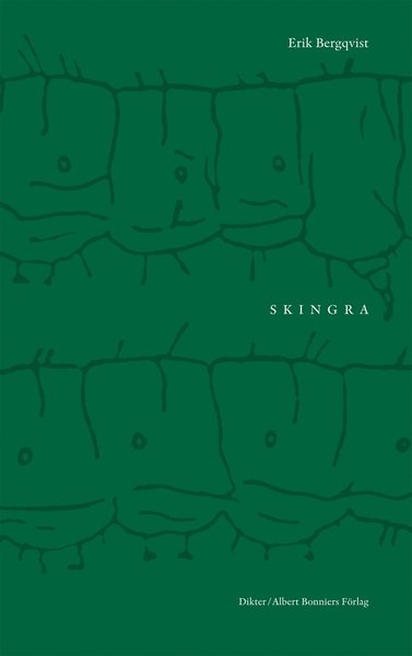 Skingra - Erik Bergqvist - Książki - Albert Bonniers Förlag - 9789100127138 - 22 lutego 2013