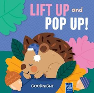 Cover for Goodnight (Lift Up and Pop Up) - Lift Up and Pop Up (Board book) (2025)