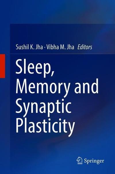 Cover for Sleep Memory and Synaptic Plasticity (Book) [1st ed. 2019 edition] (2019)