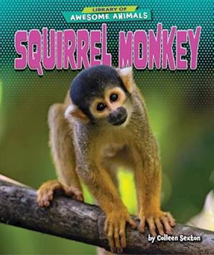 Cover for Colleen Sexton · Squirrel Monkey (Hardcover Book) (2022)