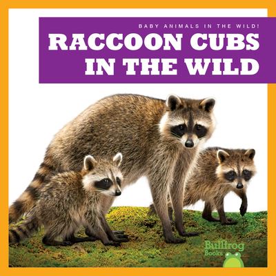 Cover for Chanez · Raccoon Cubs in the Wild (Book) (2023)