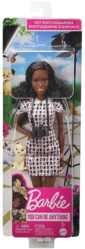 Cover for Barbie · I Can Be Career Public Relations Pr Doll Aa (MERCH) (2021)