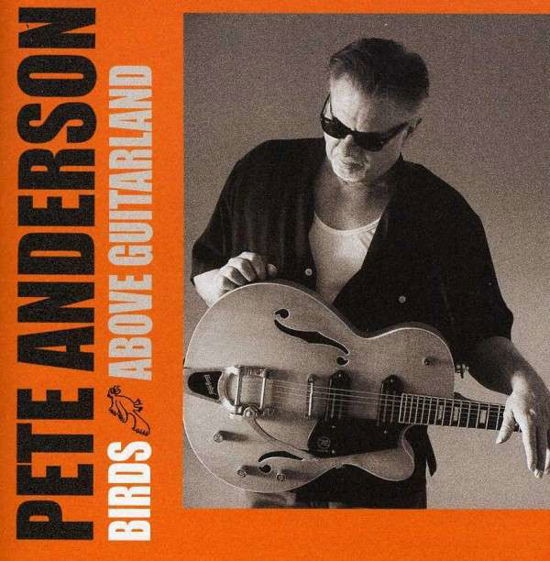 Cover for Pete Anderson · Birds Above Guitarland (CD) (2013)