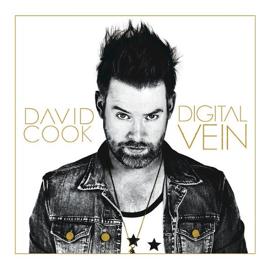 Digital Vein - David Cook - Musik - INGROOVES - 0881034113139 - 17. september 2015