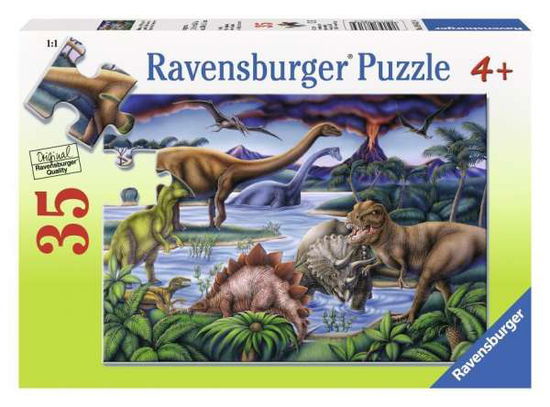 Cover for Ravensburger · Dinosaur Playground 35 Pc Puzzle (N/A) (2019)