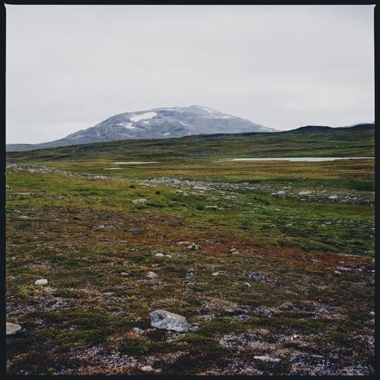 Cover for Tundra · Gidge (LP) (2024)