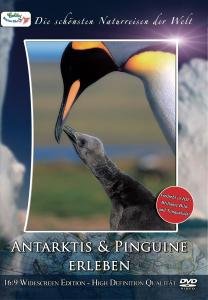 Cover for Colibri Naturfilme · Antarktis &amp; Pinguine Erleben (DVD) (2007)