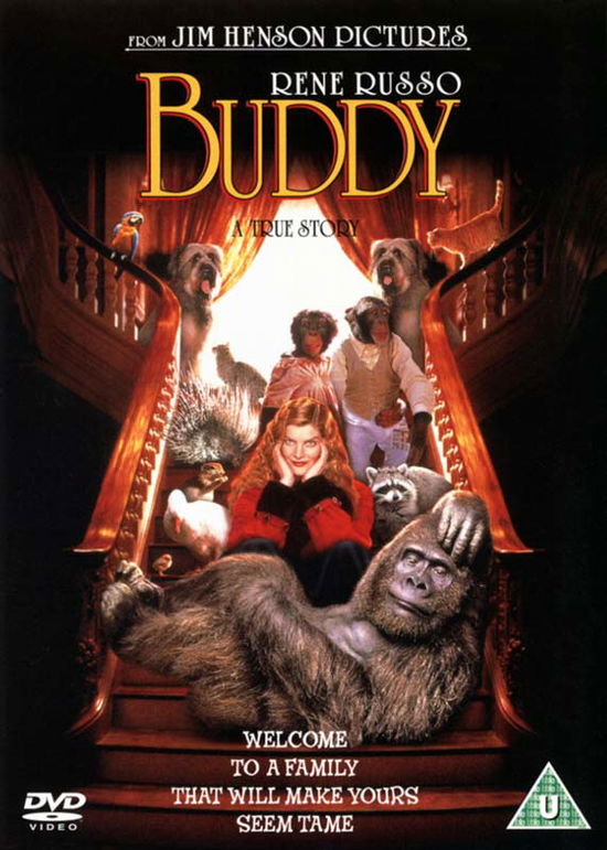 Jim Hensons - Buddy - Movie - Movies - Sony Pictures - 5035822525139 - March 11, 2002