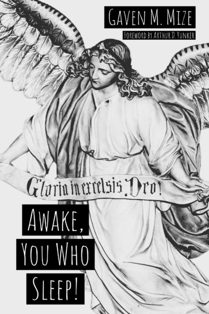Cover for Gaven Mize · Awake, You Who Sleep : The Advent of the Christ (Paperback Book) (2018)