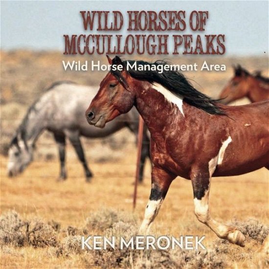 Cover for Ken Meornek · Wild Horses of McCullough Peaks (Paperback Book) (2017)