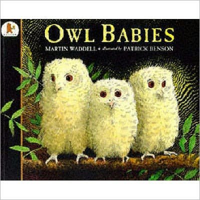 Cover for Martin Waddell · Owl Babies - Big Books (Pocketbok) [New edition] (1998)