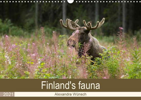 Cover for Wünsch · Finland's fauna (Wall Calendar 2 (Book)